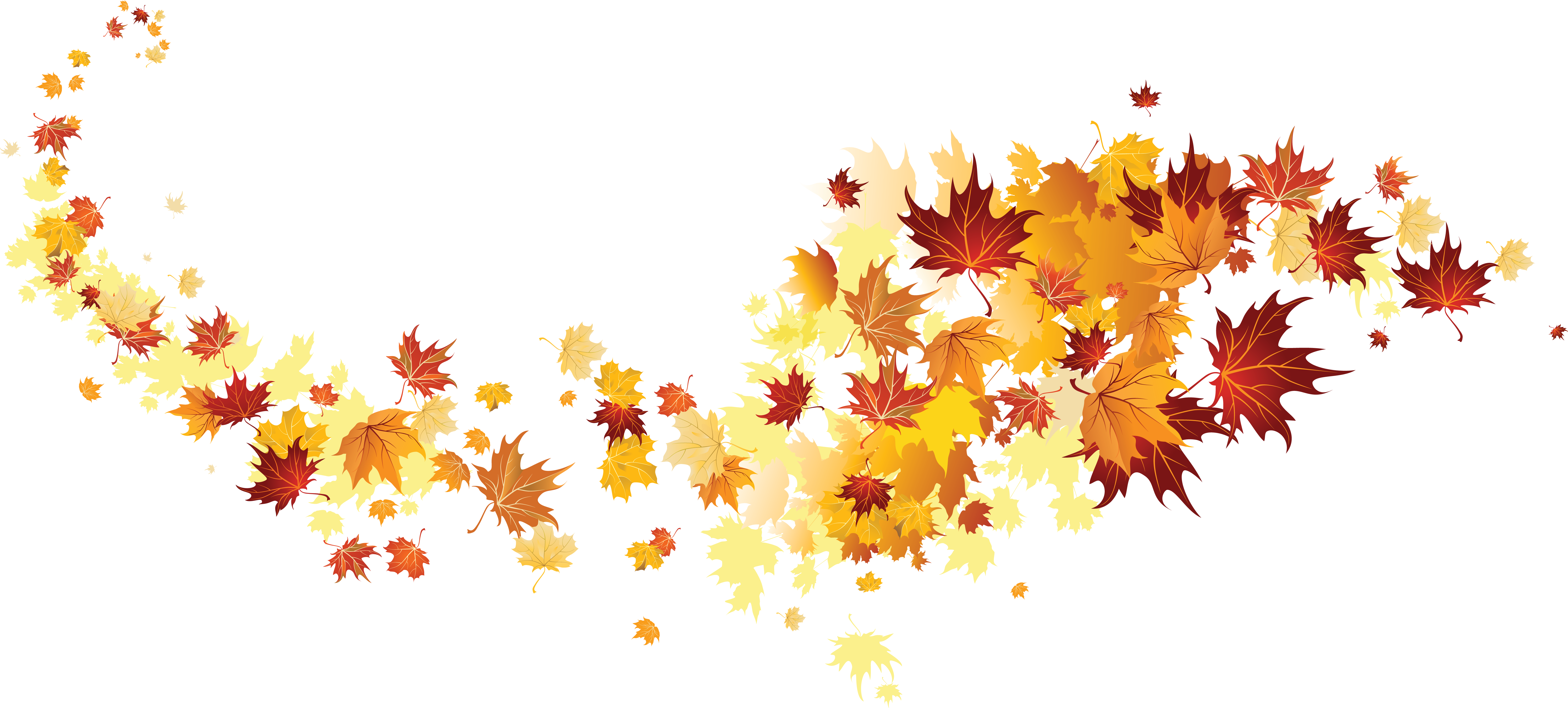 Autumn Color Leaves Leaf HD Image Free PNG Clipart