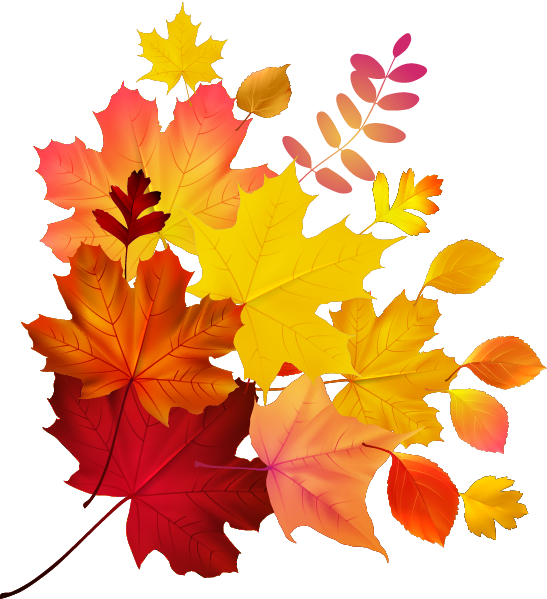 Autumn Color Leaf Maple Royalty-Free Download HQ PNG Clipart