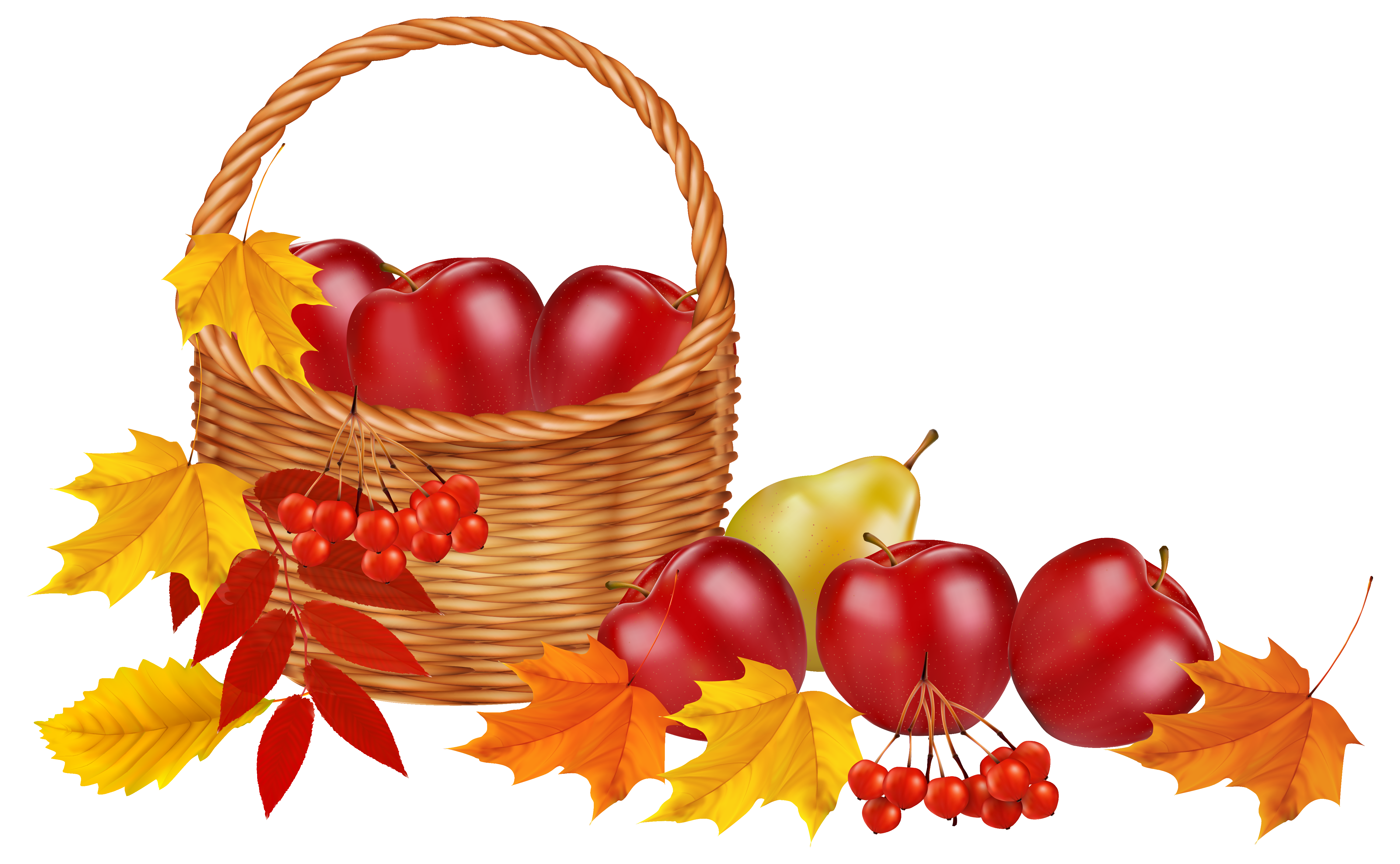 And Leaf Color Leaves Autumn Fruit Fruits Clipart