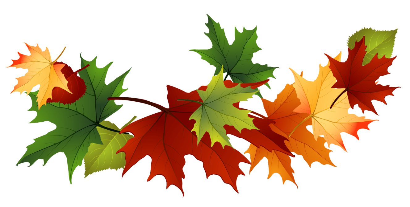 Fall Leaves Fall Autumn Leaves Png Images Clipart