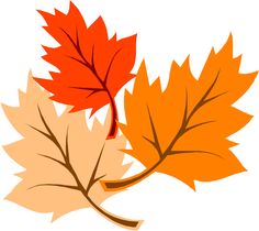 Autumn On Fall Images And Png Image Clipart