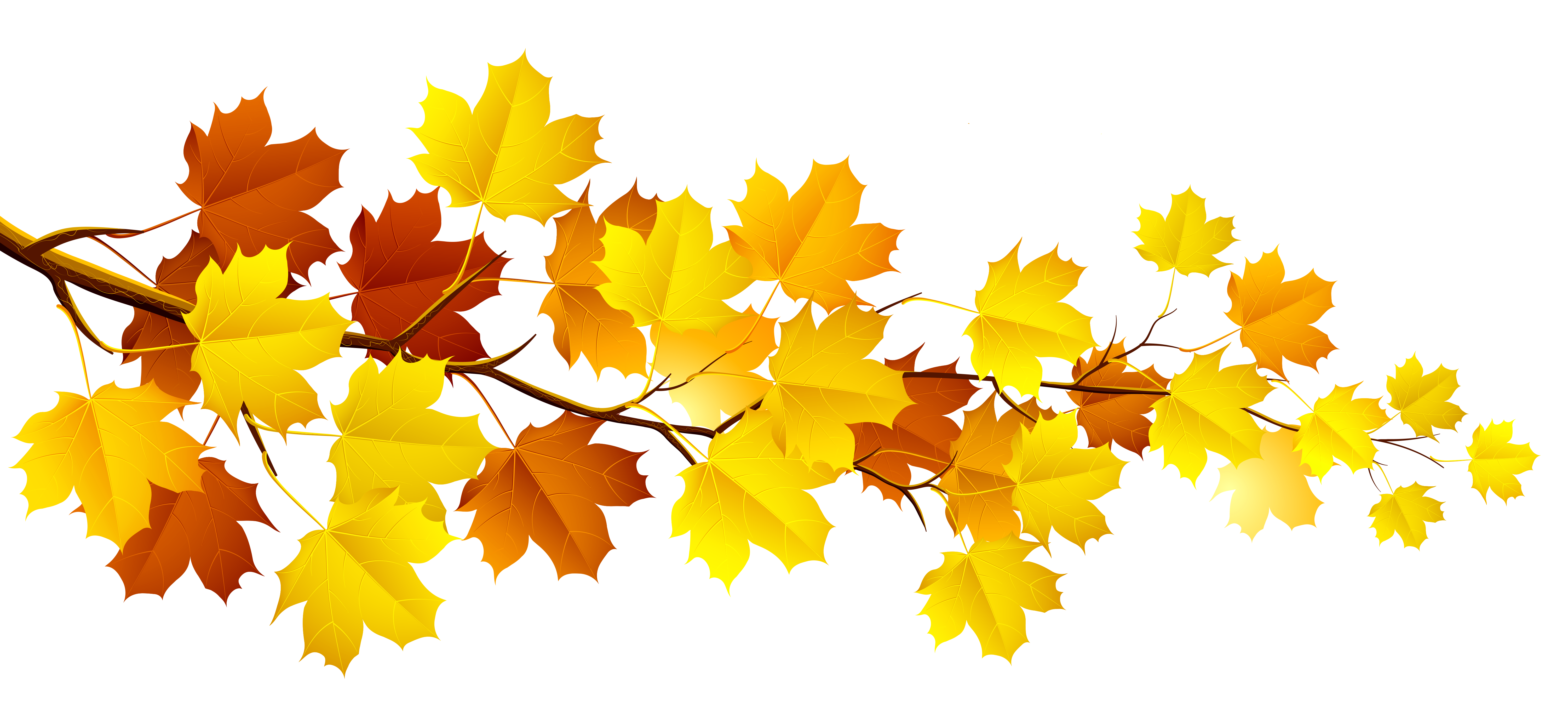 Fall Leaves Fall Autumn Leaves Png Image Clipart