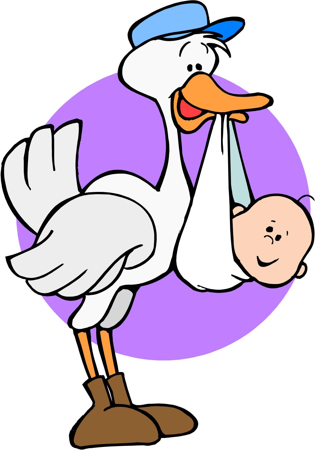 Baby Stork Png Image Clipart