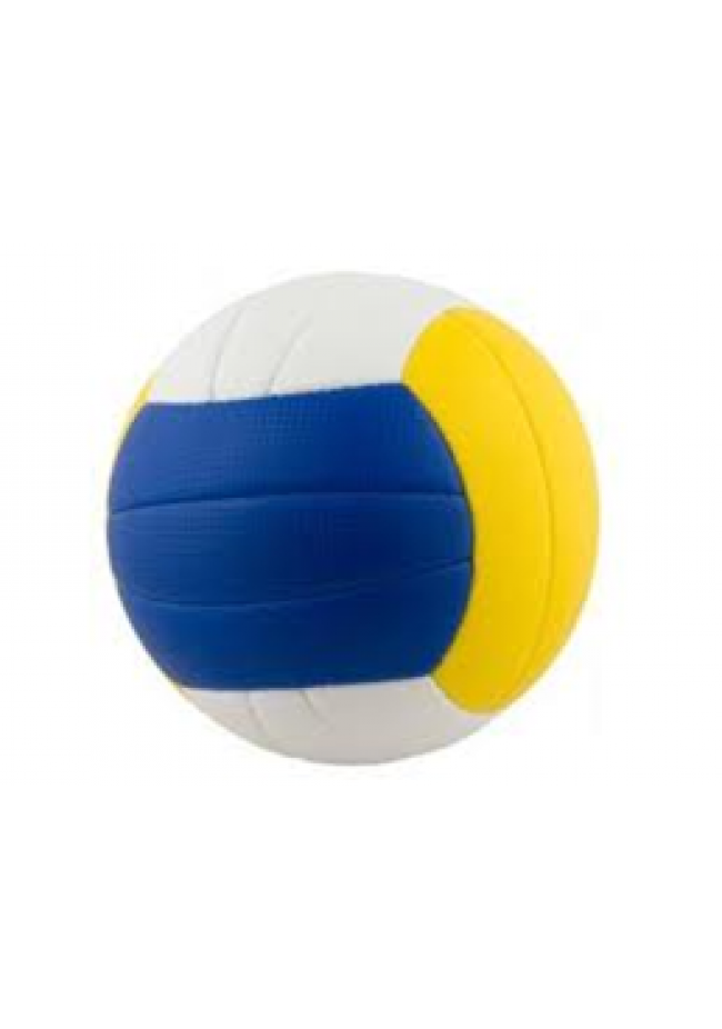 Medicine Balls Volleyball Ball PNG Free Photo Clipart