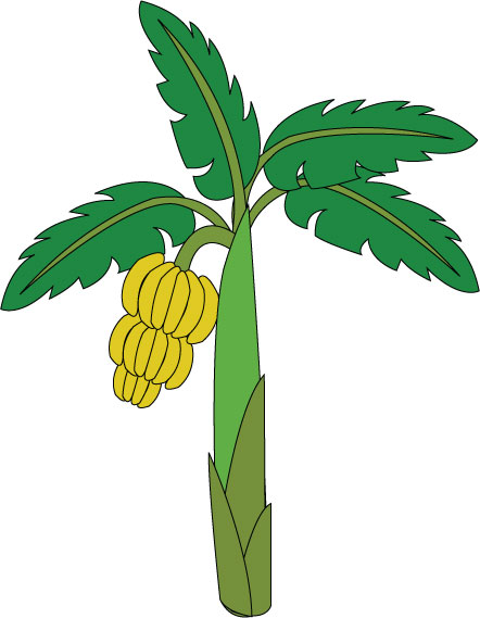 Banana Tree Download Png Clipart