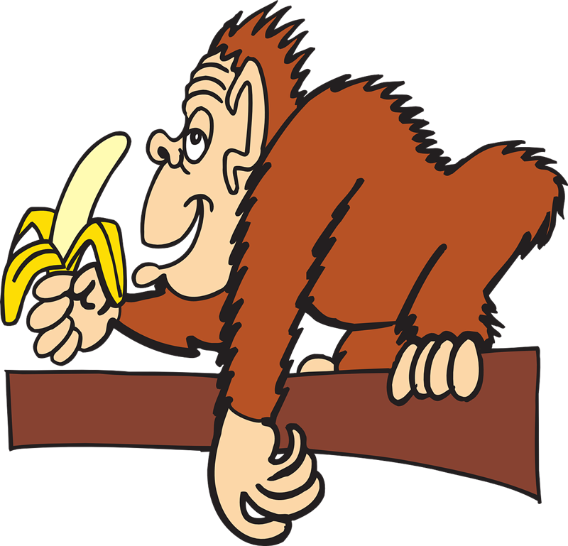 Free Monkey Eating Banana Download Png Clipart