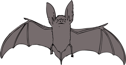 Bat With Open Wings Clipart