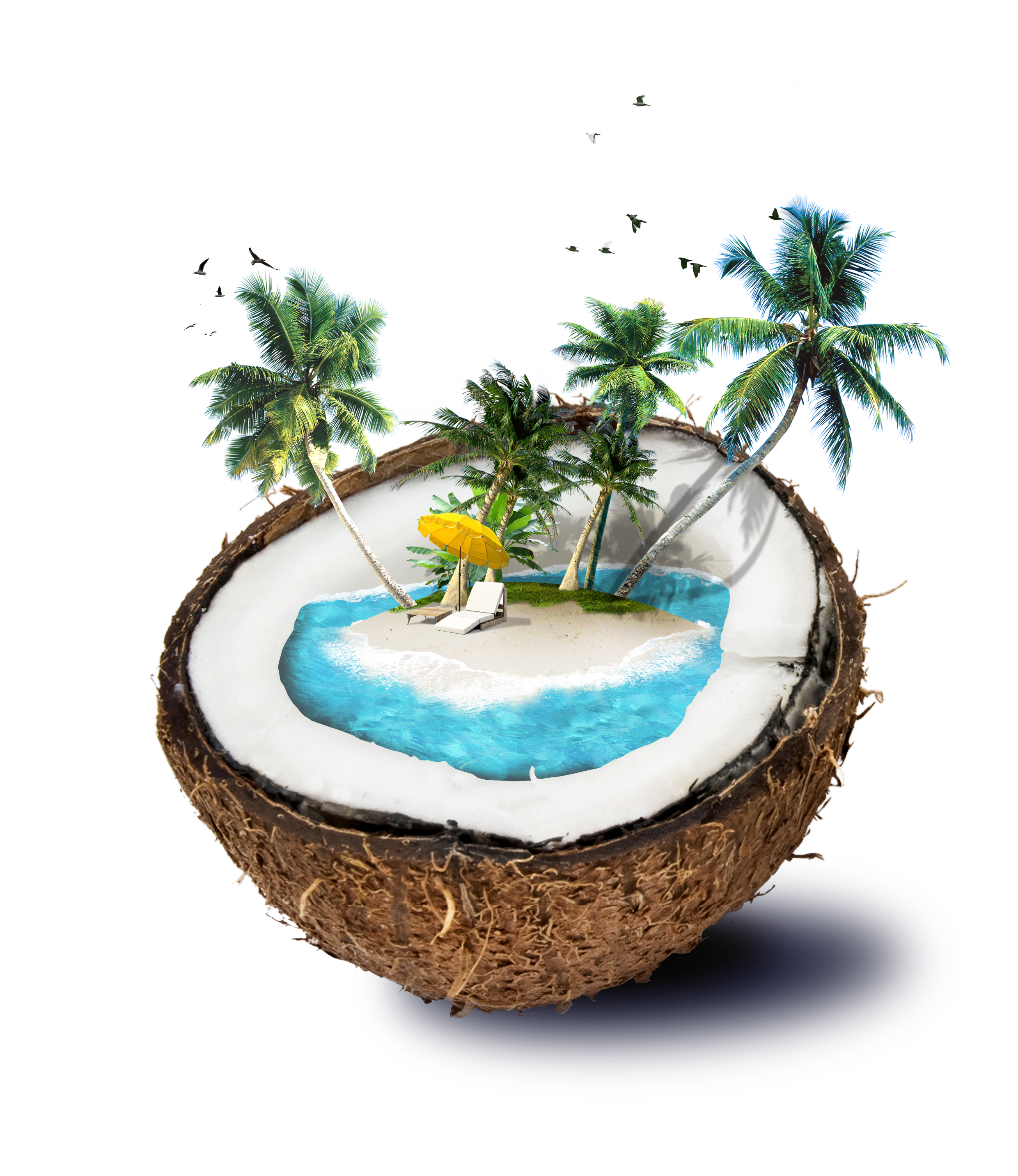Coconut Travel Material Water Template Shading Borders,Shading Clipart