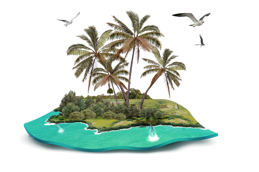 Coconut Gratis Island Tree Decoration Pattern Beach Clipart