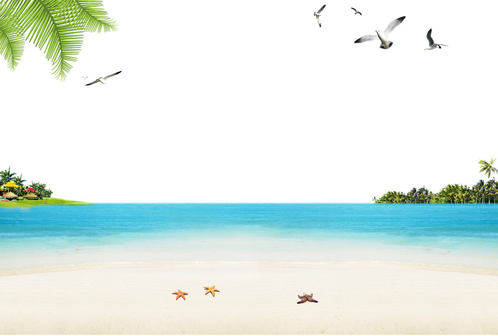 Seaside Beach Sandy Ocean Download HQ PNG Clipart