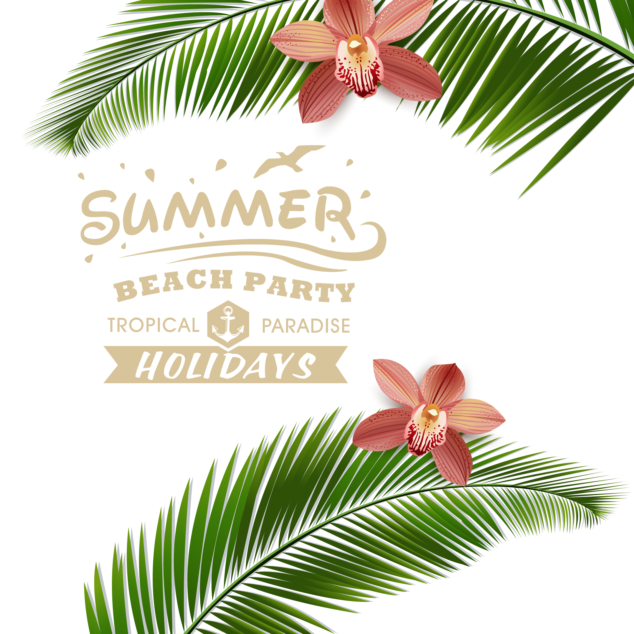 Summer Poster Material Resort Vector Posters Beach Clipart