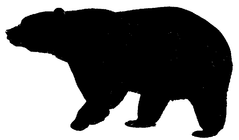 Standing Black Bear Drawing Images Clipart Clipart