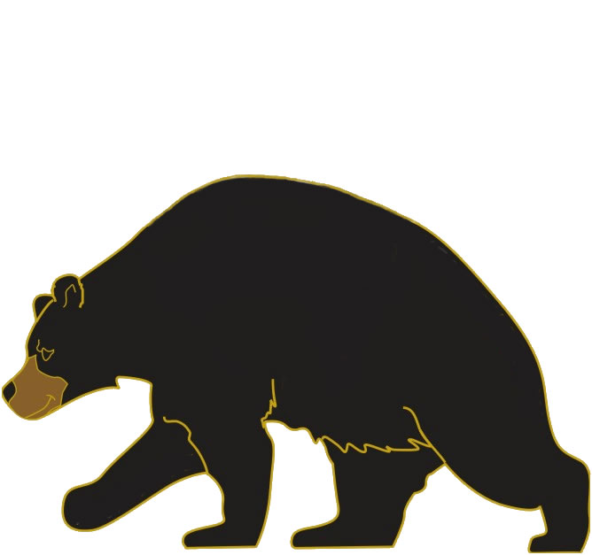 Black Bear Search Png Image Clipart