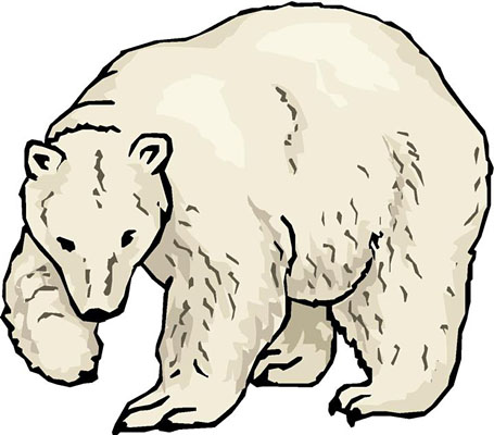 Polar Bear Com Free Download Png Clipart