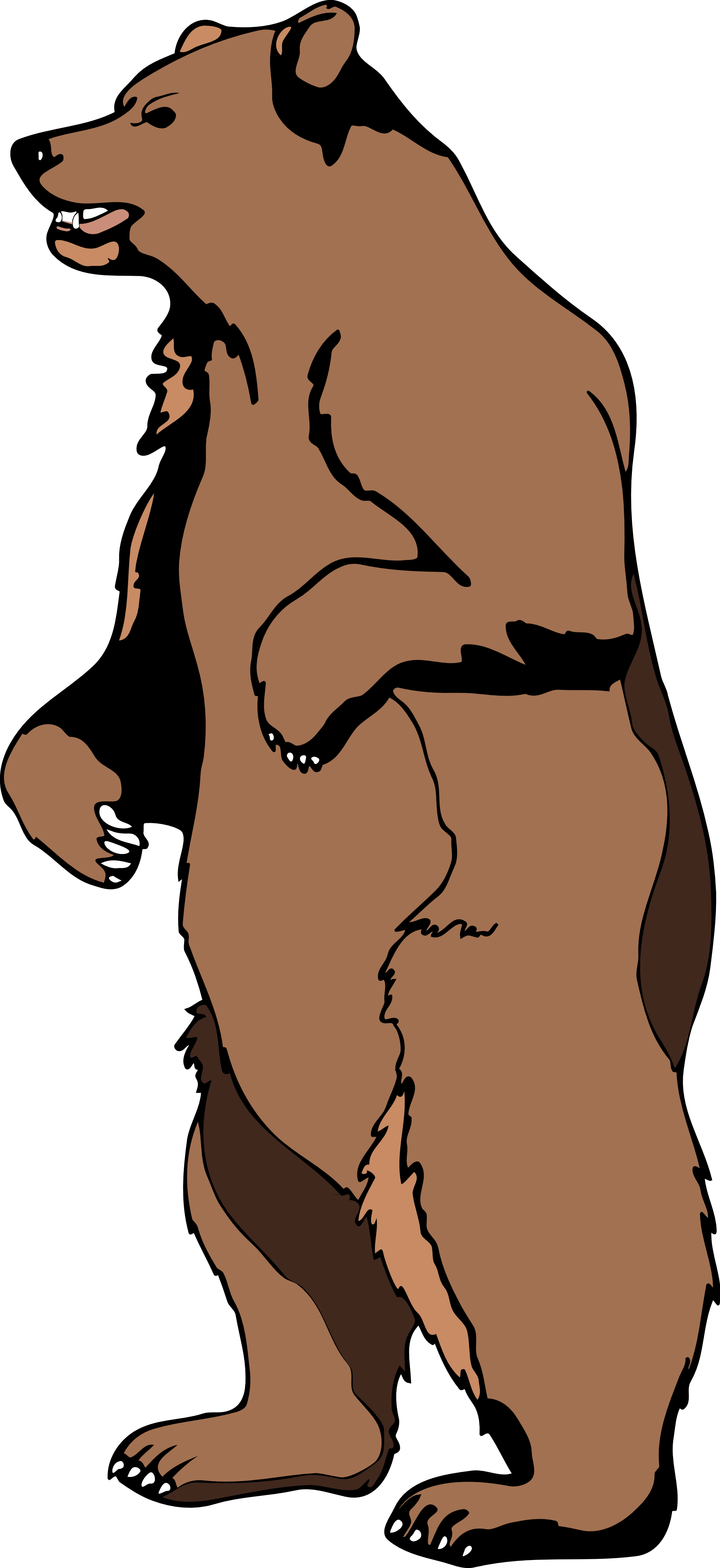 Standing Bear Images Hd Image Clipart