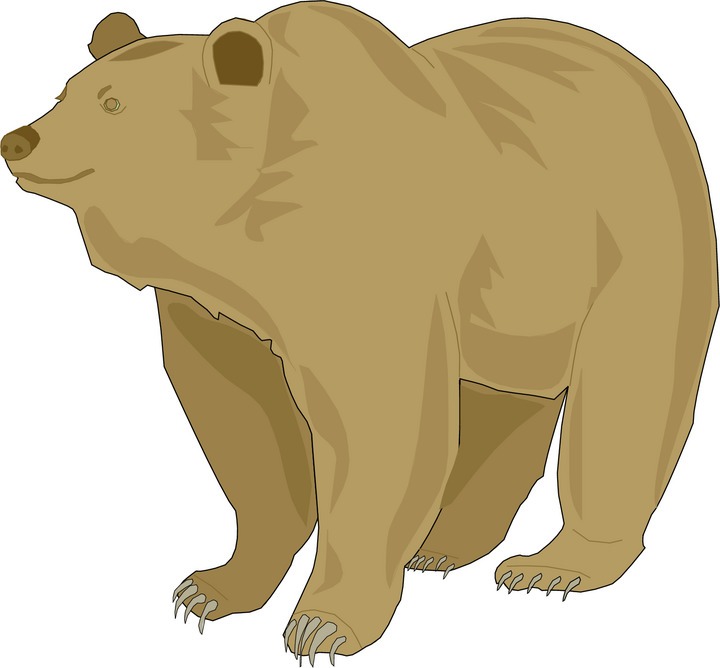 Free Bear Png Image Clipart