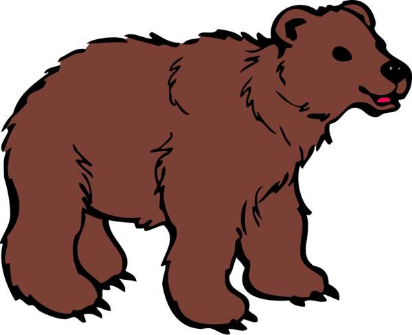 Brown Bear Cwemi Images Gallery Png Image Clipart