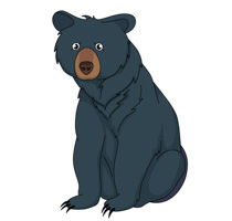Free Bear Pictures Graphics Illustrations Image Png Clipart