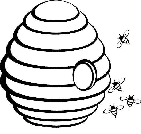 Beehive Outline Png Image Clipart