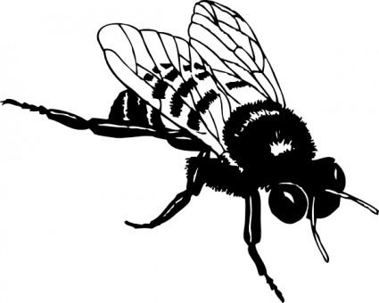 Bumble Bee Vector In Open Office Drawing Clipart