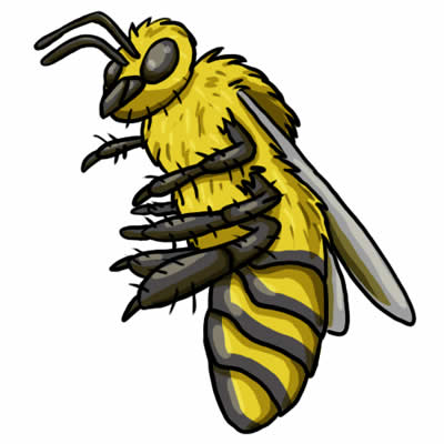 Bee Image Transparent Image Clipart