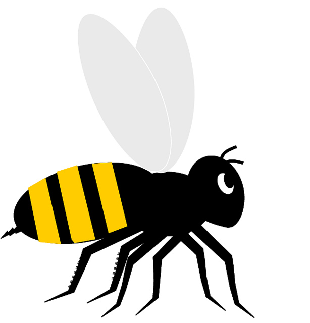 Bee Black And White Images Hd Photos Clipart