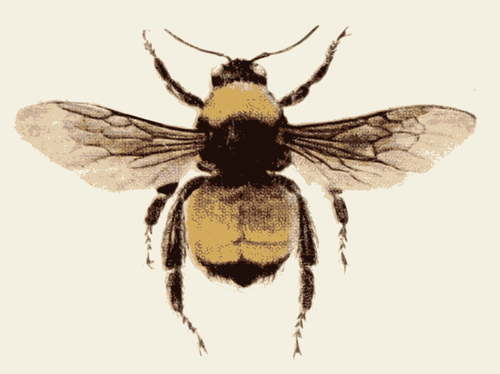 Retro Bee Image Clipart