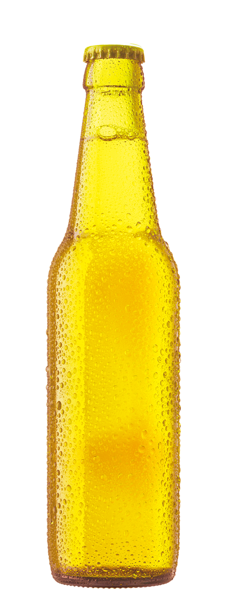 Beer Bottle Cup Free Clipart HQ Clipart