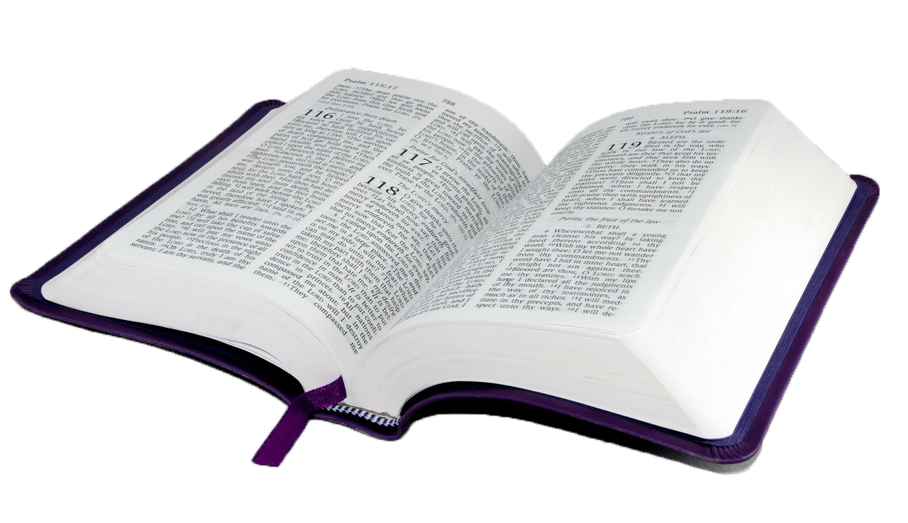Bible Holy Text Study Religion Book Religious Clipart
