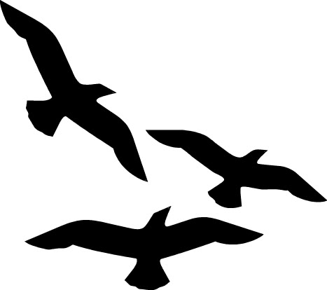 Flying Bird Black And White Dromggi Top Clipart