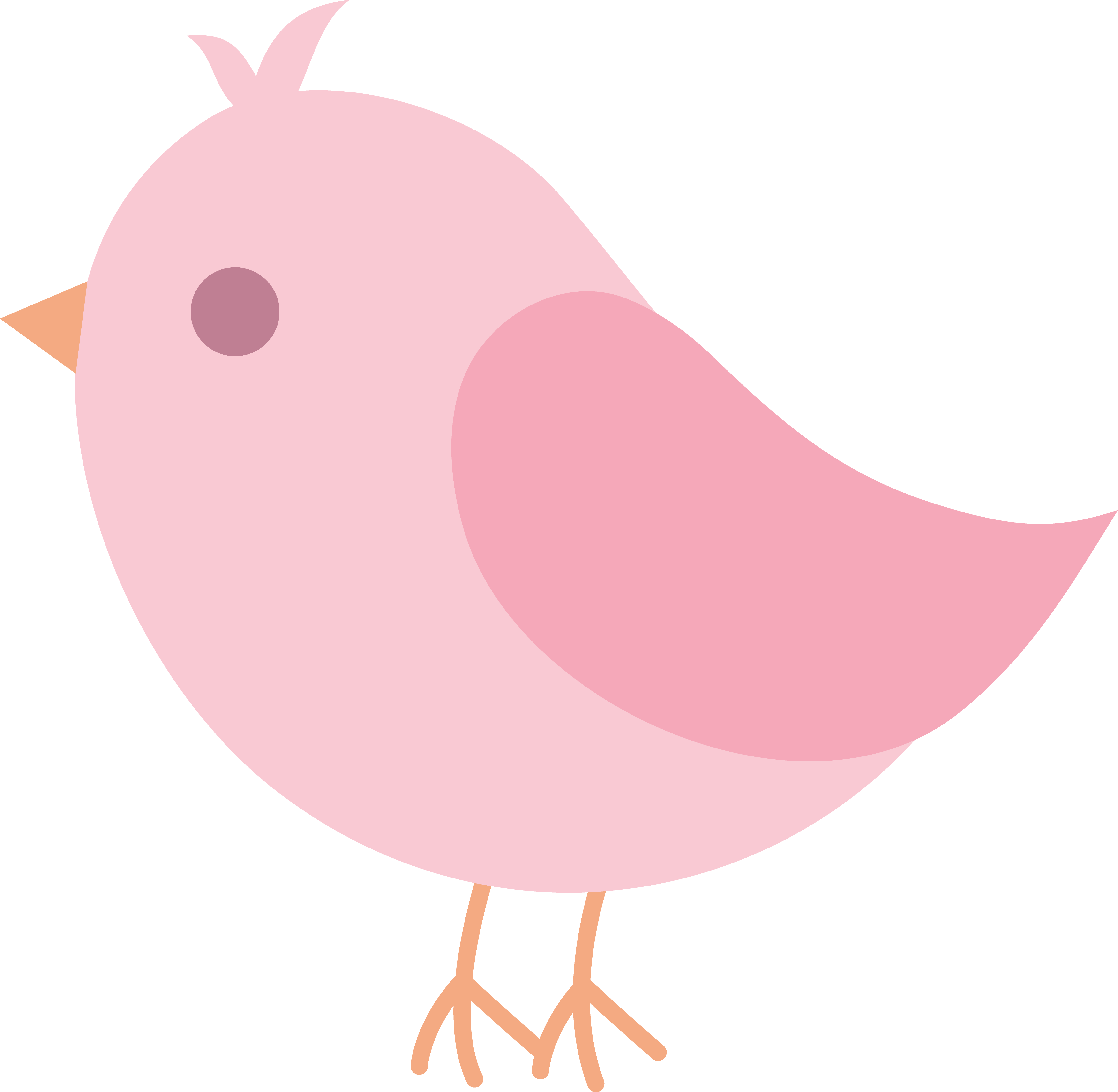 Pink Love Bird Dromggd Top Png Images Clipart