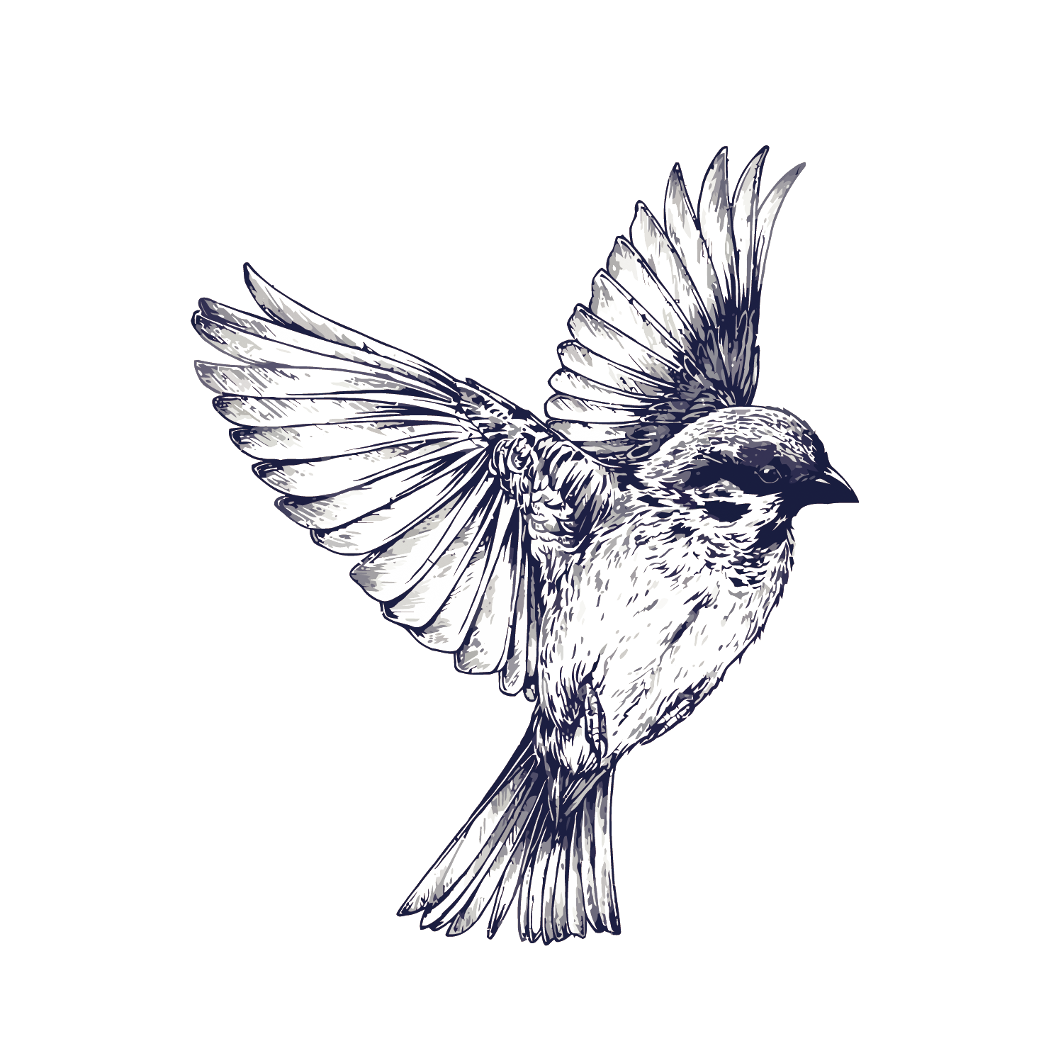 Tattoo Flight Sparrow Painted Drawing Vector Swallow Clipart