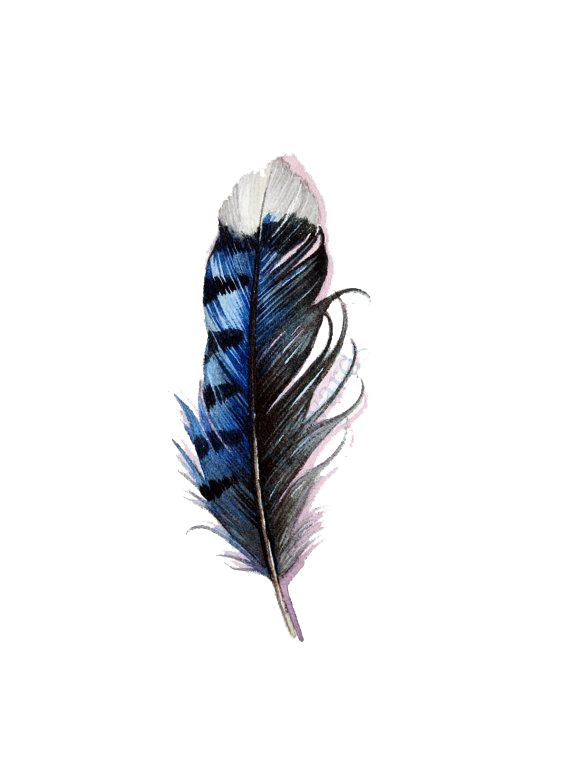 Blue Tattoo Jay Feathers Watercolor Feather Painting Clipart