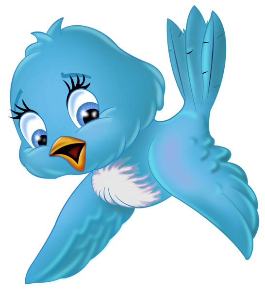 Bird Face Images Image Png Clipart