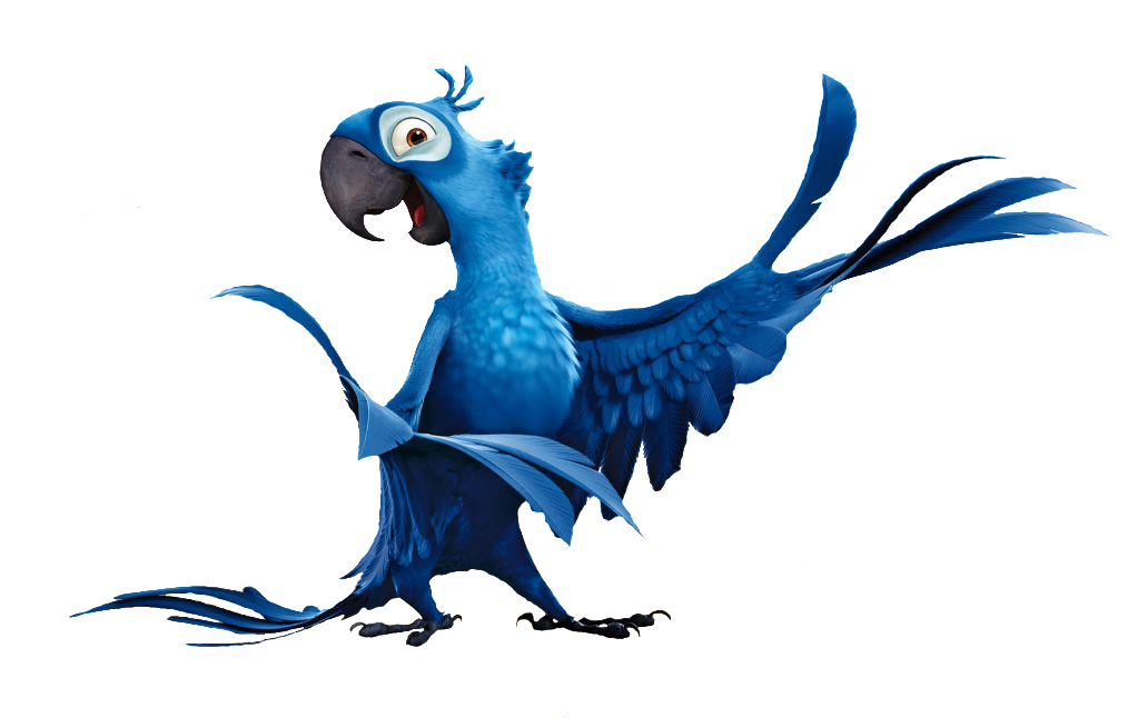 Blue Studios Macaw Parrot Sky Day Rio Clipart