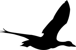 Flying Bird Vector In Open Office Drawing Clipart