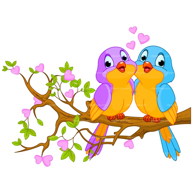 Love Bird Dromggm Top Png Image Clipart