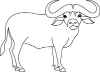 Free Black And White Animals Outline Pictures Clipart