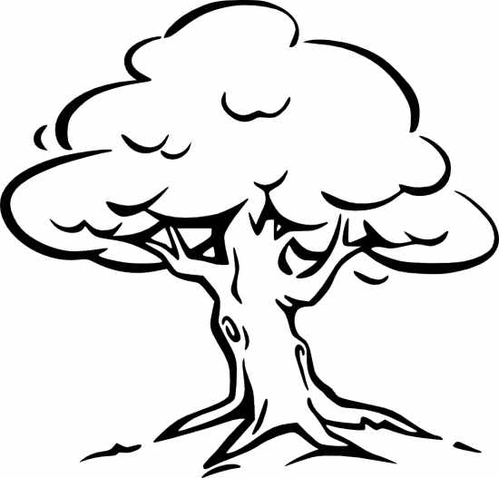 Black And White Tree Dromfgg Top Clipart