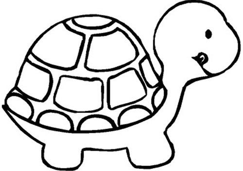Turtle Black And White Png Image Clipart