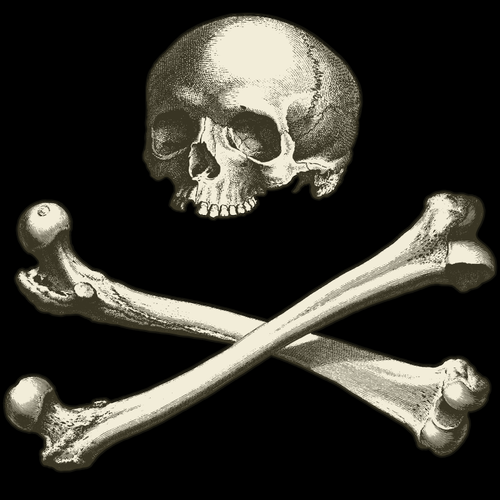 Skull And Bones With Black Background Clipart