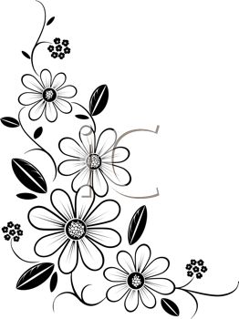 Black And White Flower Border Png Image Clipart