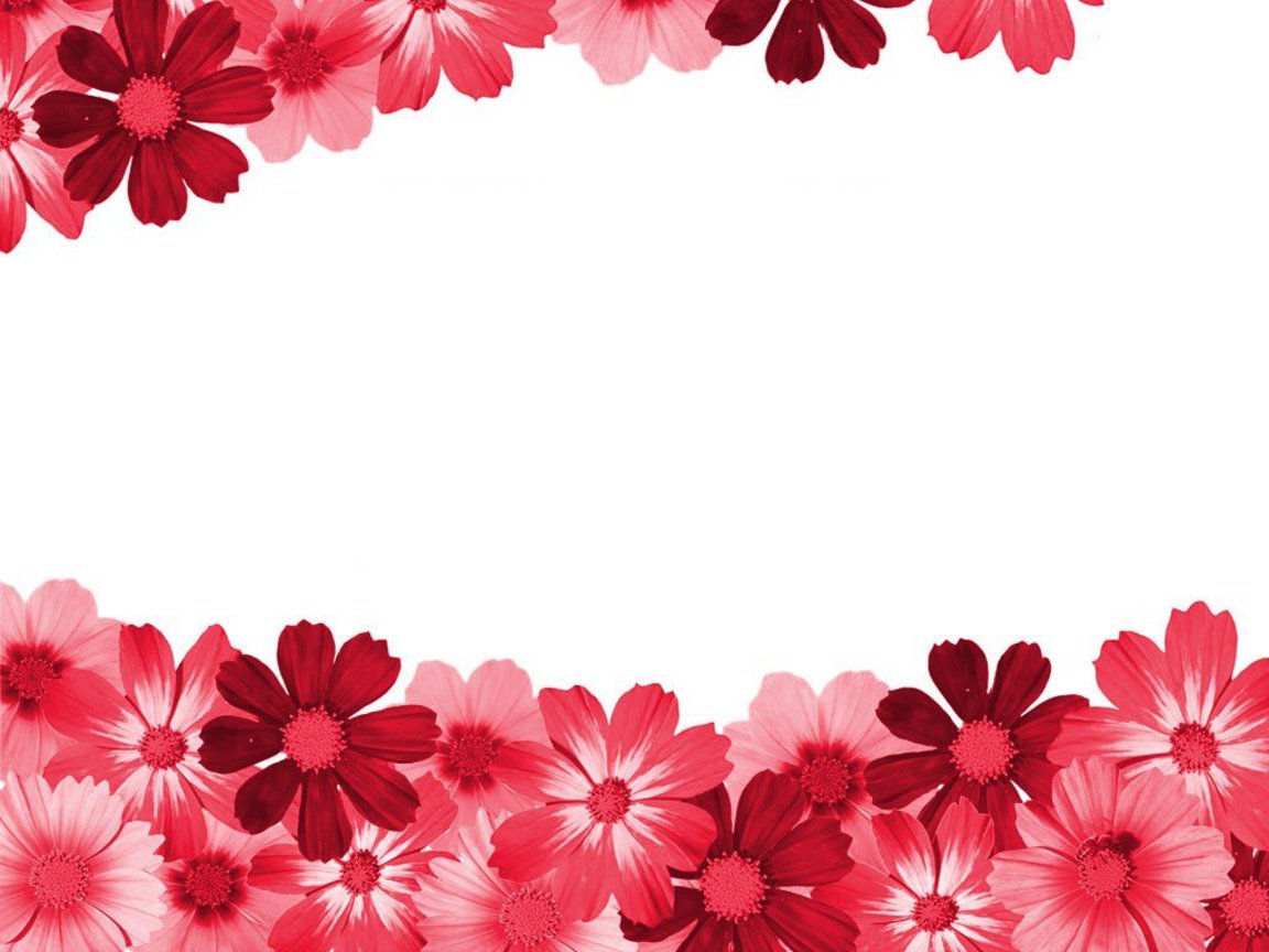 7 Images Of Flower Borders Printable Clipart