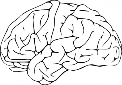 Brain Vector In Open Office Drawing Svg Clipart