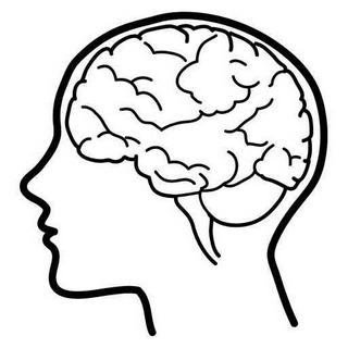 Brain Png Images Clipart