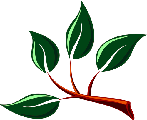 Glossy Leaves In A Branch Clipart