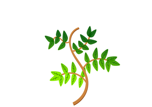 Spring Leaves On A Branch Clipart