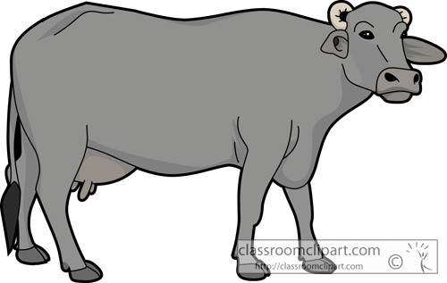 Buffalo Images Png Images Clipart