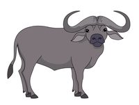 Free Buffalo Pictures Graphics Illustrations Hd Photo Clipart
