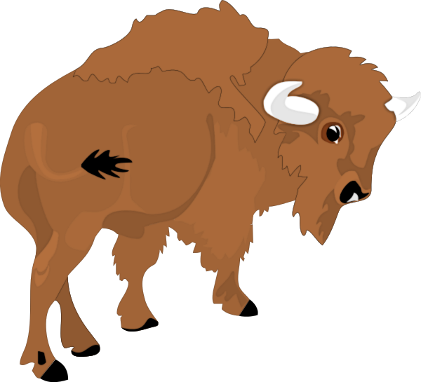 Free Buffalo 1 Page Of Public Domain Clipart